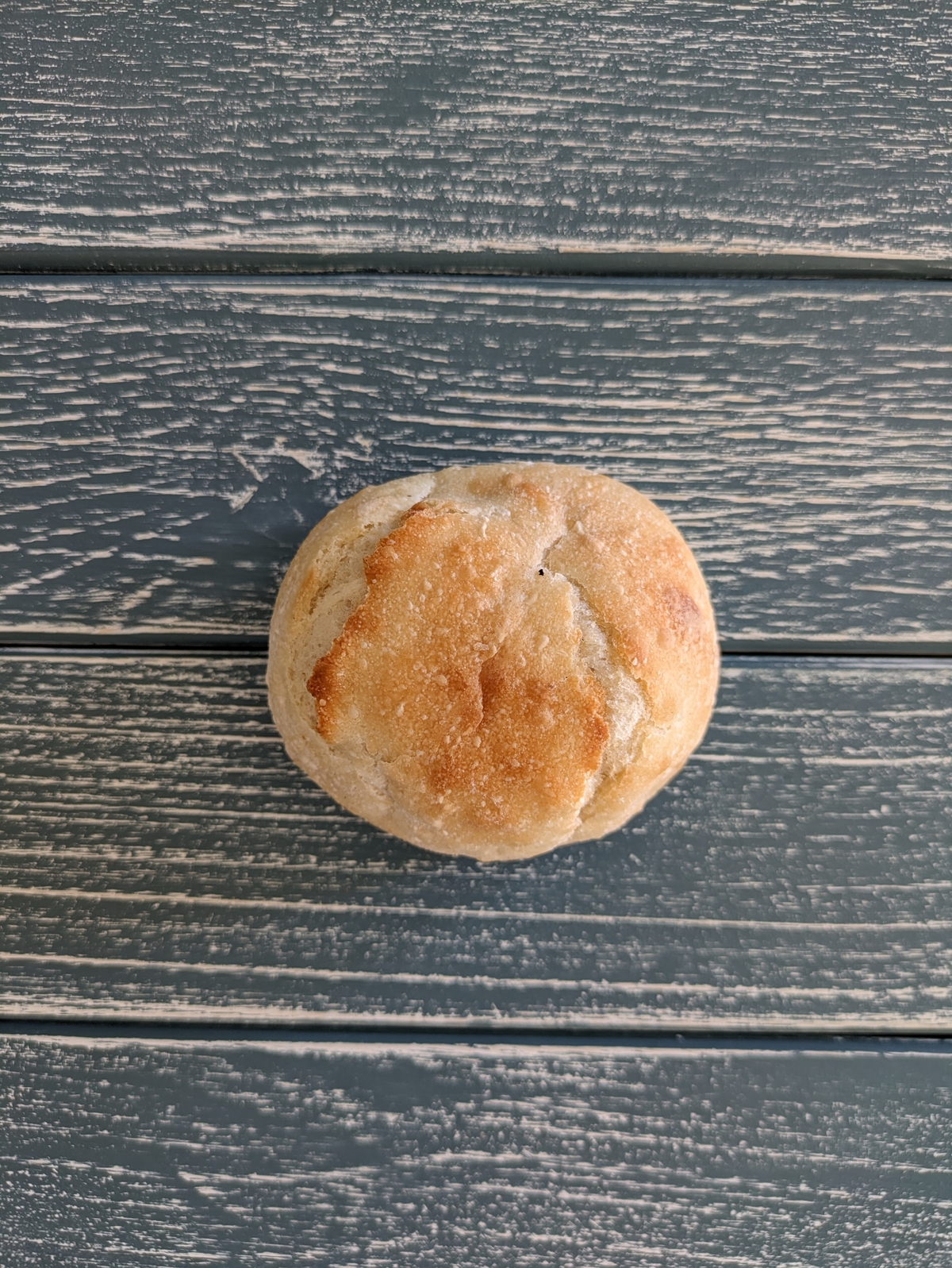 有機古代小麦白パン(バンズ)<BR>天然酵母石窯焼き<BR>✨柔らか目の焼きでバンズとしても！